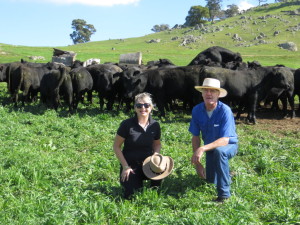Bill & Shauna with Autumn Sale Bulls 2014
