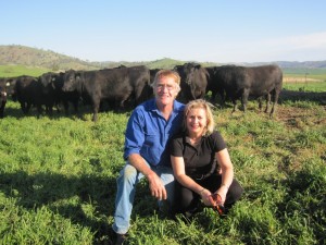 Bill and Shauna with Bongongo bulls Spring 2010