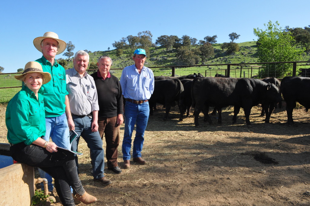 Buyers of equal top price bulls at Bongongo Spring sale 2015 Renato Gaspari Coots creek Angus Yass and Paul Ferry and Garry Williamson Abingdon Station Nangus with Shauna and Bill Graham. Photo Cara Jeffery The Land.