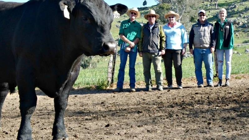 Bill Graham, Bongongo Angus stud, Coolac; Graeme, Carolyn and Robert Harris, "Springvale" Coolac; and Georgia Graham, Bongongo Angus stud, Coolac, with the top priced bull Bongongo J122 (APR) (AI)